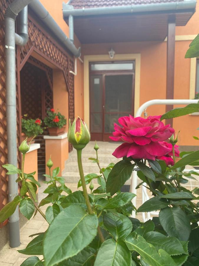 Apartman Dora Hajdúszoboszló Exterior foto